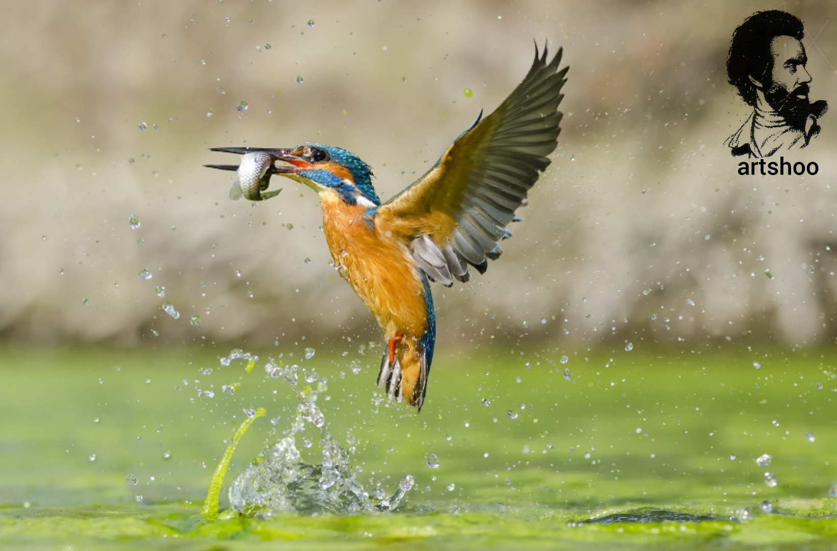 مدل اورژینال رنگ روغن